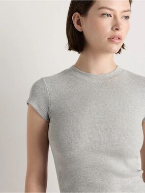 Quince Organic Cotton Micro-Rib Crewneck Tee medium
